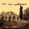 Profilbild von Sanaees ابن السناعيس