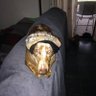 jonathan fierberg's profile picture