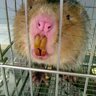 LUCU's profile picture