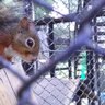 たかぷ~ profil fotoğrafı