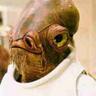 R Schlafly's profile picture