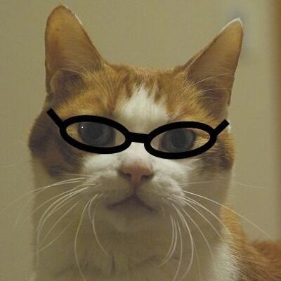 miechas's profile picture