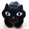 ねこまんじゅぅ♪'s profile picture