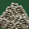 Jerry Alaimo's profile picture