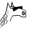 Kevin Jerpi's profile picture