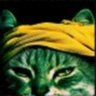 Steinchen84's profile picture