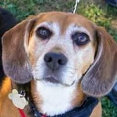 BFPBaxter's profile picture