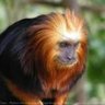 Marxouin's profile picture