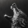 wolf profil fotoğrafı