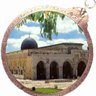 motwakel mokhtar's profile picture