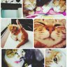 mifu 的头像