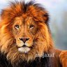 Фото профиля العسيري
