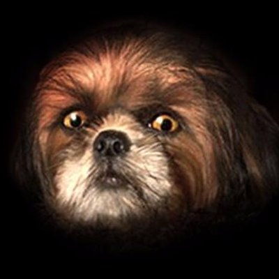 Dayrinho's profile picture