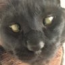 いっちー 的头像