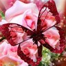 المسافر's profile picture