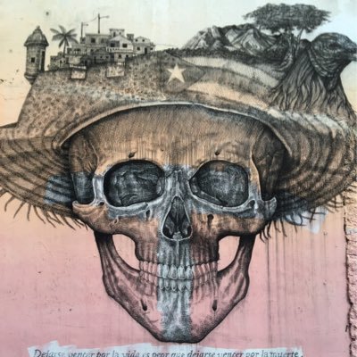 William Rodriguez's profile picture