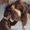 الامبراطور's profile picture