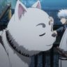 小さな森の土々 的头像