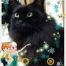 やすみんと九福猫@❤️🔥痛着物作りました profil fotoğrafı