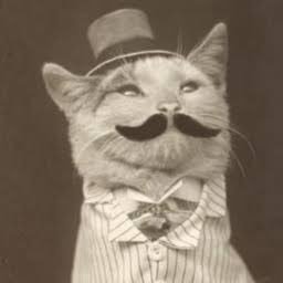 implodedogre's profile picture