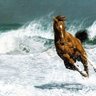 طلال النهاري profil fotoğrafı