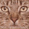 Profilbild von Nicholai Hel