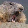 Profilbild von MorRoch