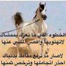 Profilbild von ابو راكان