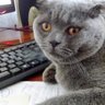 Profilbild von Продан Михаил