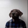 SiPeroNo's profile picture