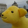 David Dearden's profile picture