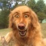 hufflep0of's profile picture