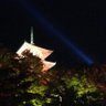 はに〜はんた〜 “ぷ~”@さくさくま profil fotoğrafı