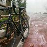 Profilbild von Cicli Zarma by Laura