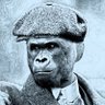 Ernesto Dodd profil fotoğrafı