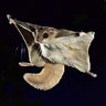 Фото профиля Randy Goulding