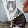 VS profil fotoğrafı