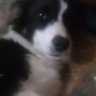 Profilbild von amparo del socorro p
