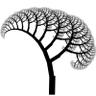 b i o n i c options| .+*^'s profile picture