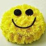 Marta Later's profile picture