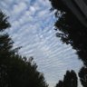 Earth's profile picture