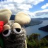 まじょるか profil fotoğrafı
