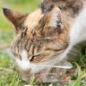 風神 profil fotoğrafı
