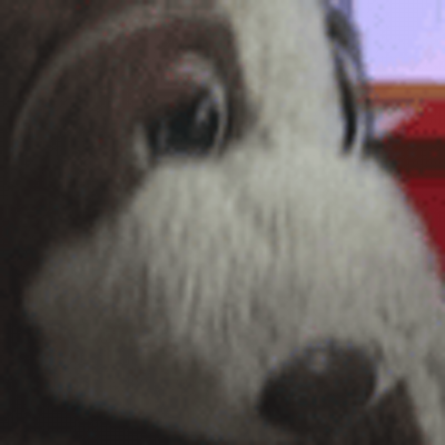 inuwantan's profile picture