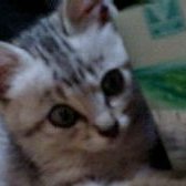 mikikik6666's profile picture