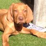 Фото профиля Laz Kiriakidis