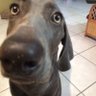 Midge's profile picture