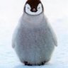 Profilbild von AATamayo