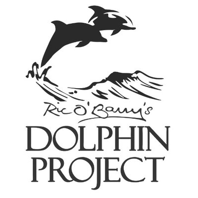 Dolphin_Project's profile picture
