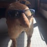 harrison's profile picture